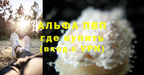 шишки Баксан
