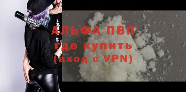 гидра Арсеньев
