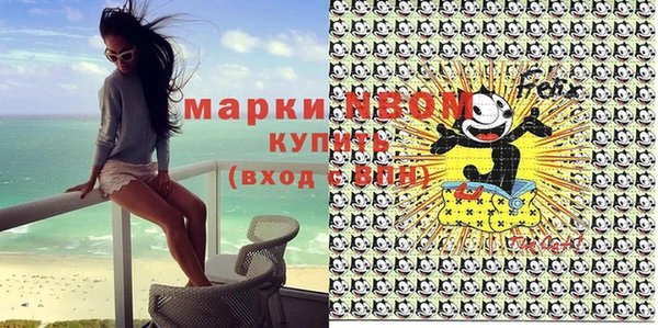 шишки Баксан
