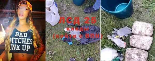 PSILOCYBIN Сураж